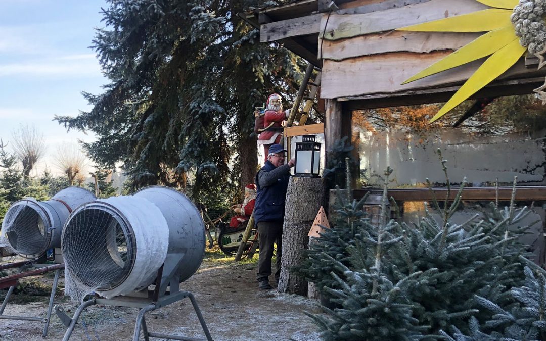 Event im Advent | Lebendiger Adventskalender Weihnachtsbaumfeld